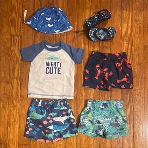 9 Month Boy Carters and Cat and Jack swimwear Lot